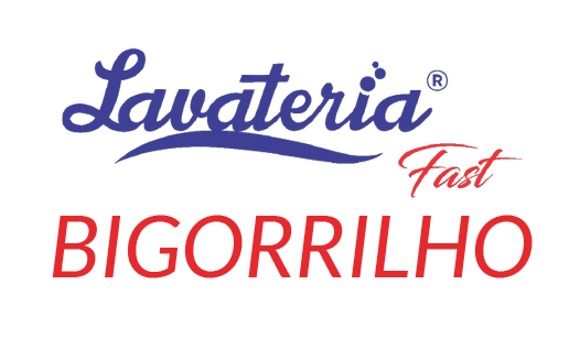 Logo Lavateria Express